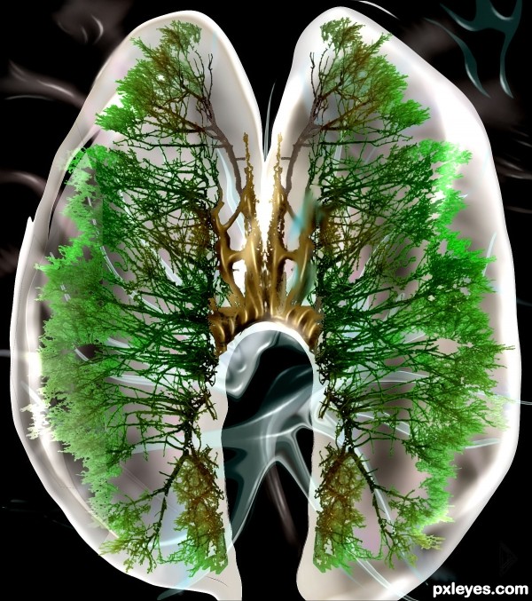 Creation of nature's lungs: Final Result